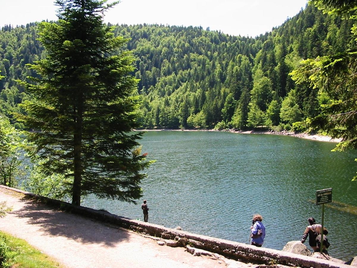 Chalet Hohneck 4 Etoiles, Vieux Bois Et Pierre, Spa, Sauna, Borne De Recharge Stosswihr Экстерьер фото