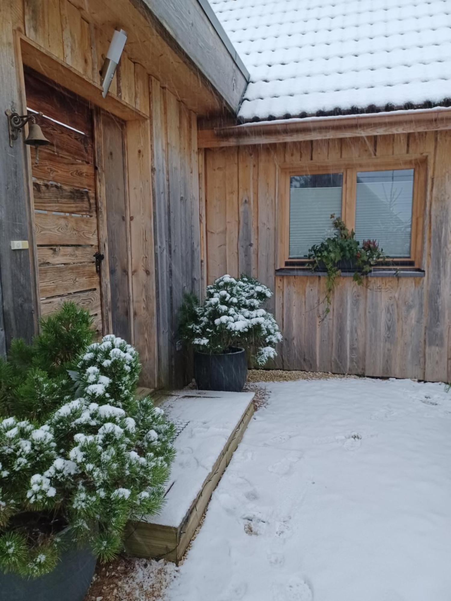 Chalet Hohneck 4 Etoiles, Vieux Bois Et Pierre, Spa, Sauna, Borne De Recharge Stosswihr Экстерьер фото